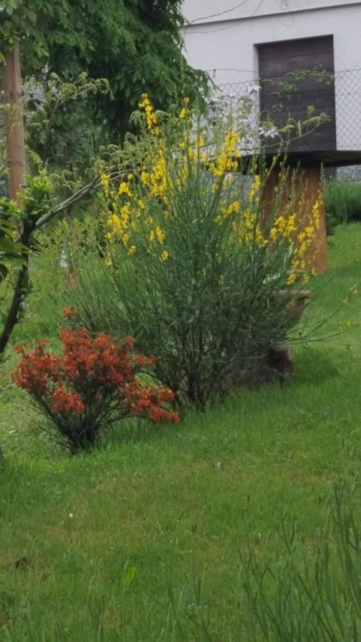 B & B Sentiero Valtellina Castello dell'Acqua 외부 사진