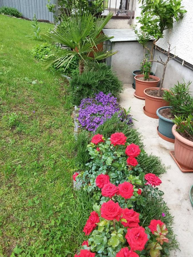 B & B Sentiero Valtellina Castello dell'Acqua 외부 사진