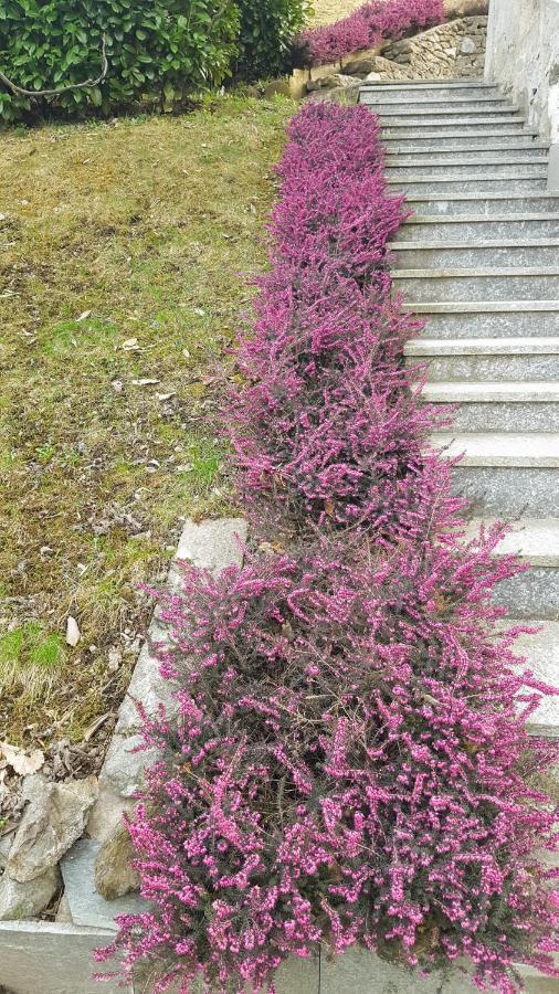 B & B Sentiero Valtellina Castello dell'Acqua 외부 사진