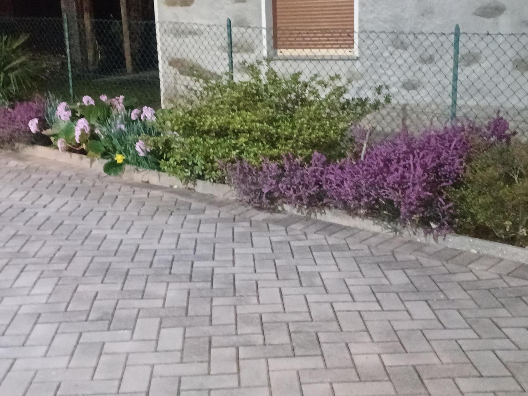 B & B Sentiero Valtellina Castello dell'Acqua 외부 사진